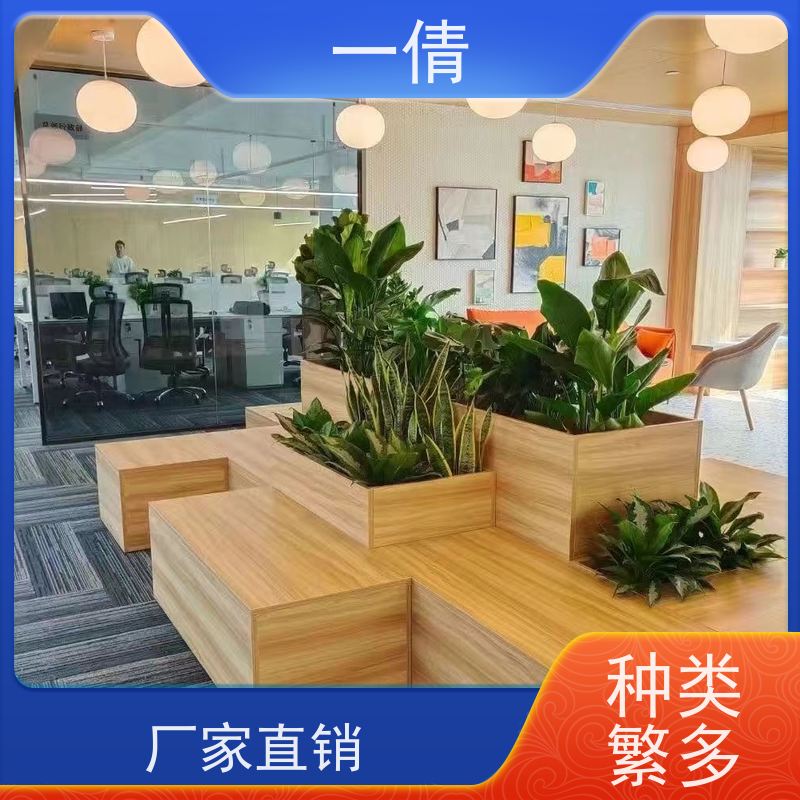 一倩花卉 苹果树 绿植租赁出售 种类繁多 规格齐全