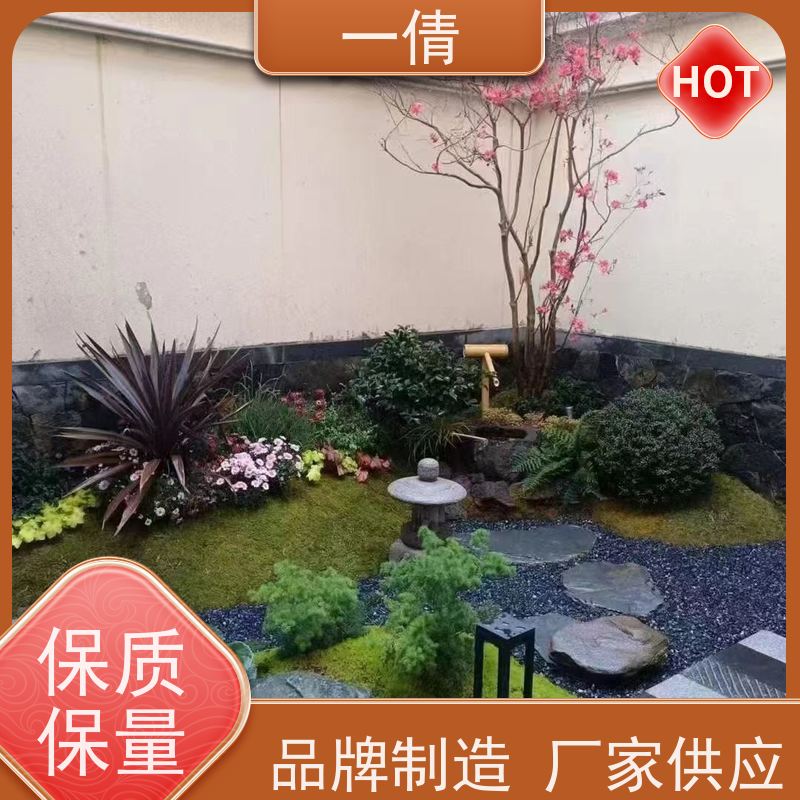 一倩花卉 好事花生 绿植租赁出售 种类繁多 规格齐全