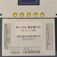 WTZ-200保护器III技术参数