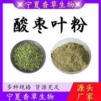 酸枣叶粉 酸枣芽粉 100目 淡绿色 酸枣叶纯粉 现磨原粉 生粉