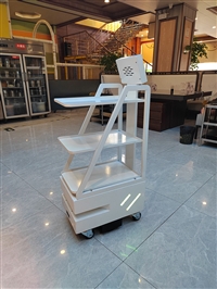 餐饮服务机器人  闯王激光送餐机器人厂家
