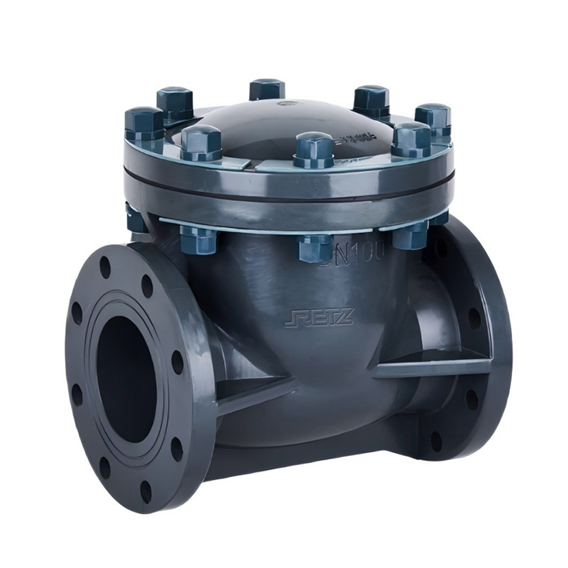 进口防腐PVC塑胶止回阀 美国RETZ瑞茨