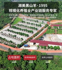 养殖场养羊必知，3个思考与4个打算，帮你少走弯路