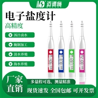 高精度电子盐度计 食品卤水熟食咸度测试仪 高汤麻辣烫测试仪
