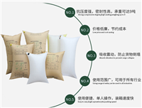 奥立pp编织袋集装箱充气袋Inflatable bag