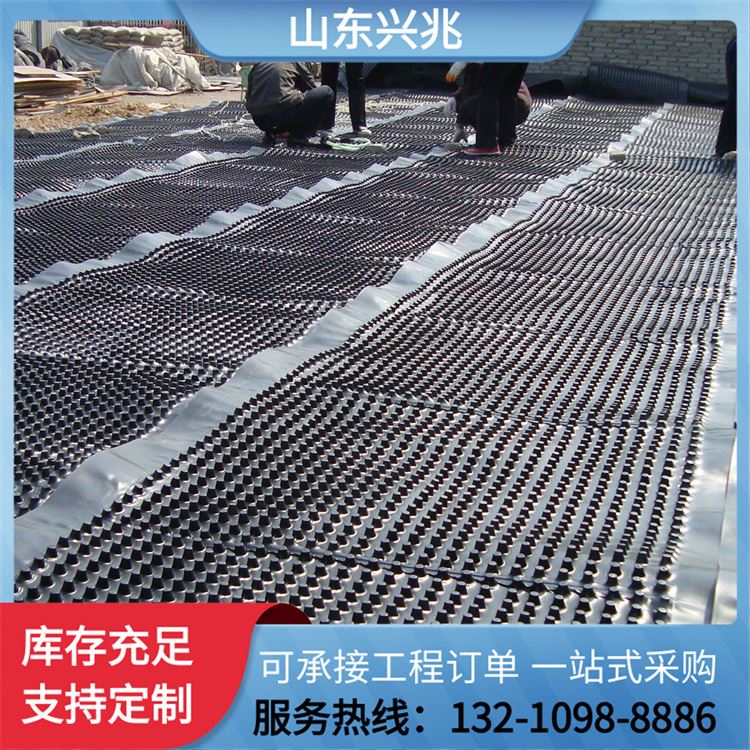 虹吸排水板 复合疏水板 覆布滤水板批发 用于海绵城市项目 质量上乘