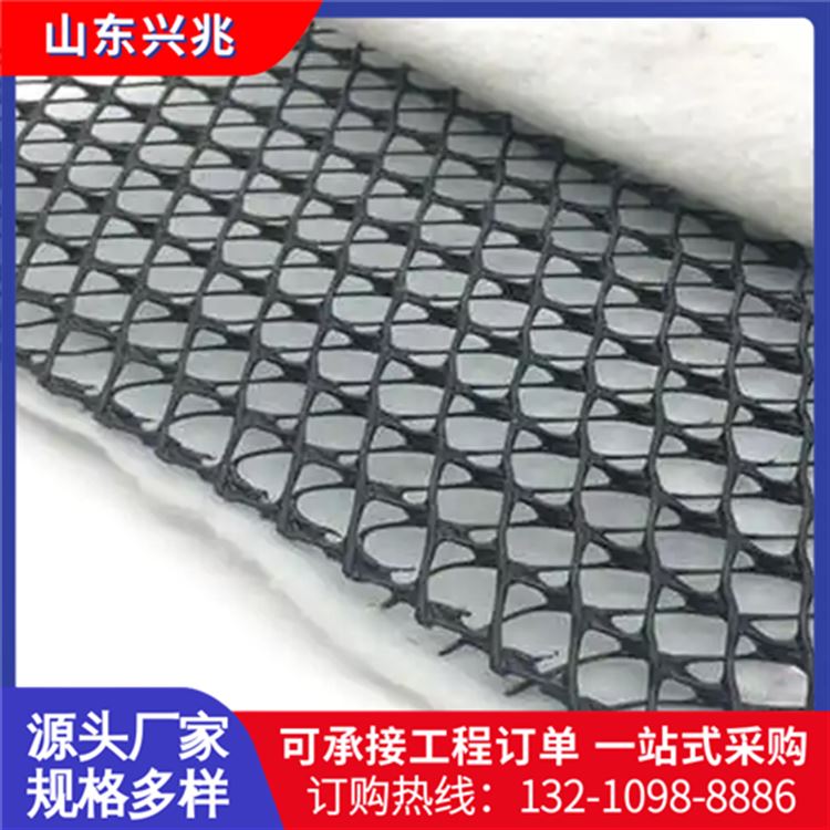 边坡排水三维复合排水网 垃圾场用土工网 土工滤网土工材料