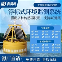 浮标式环境监测系统 双供电系统 搭配多种传感器 多参数在线检测
