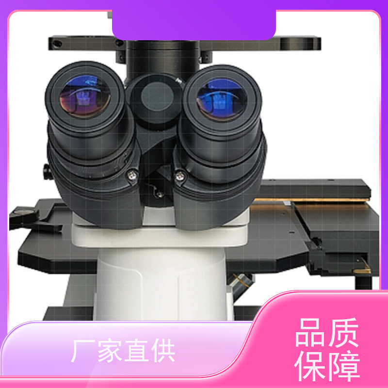 明慧 活细胞分裂过程观测 看荧光的显微镜 海南 满足不同实验场景需求