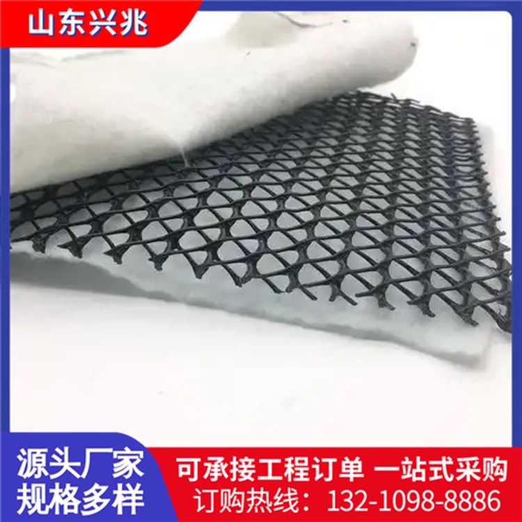 三维复合排水网 垃圾填埋场 路基土工排水滤网
