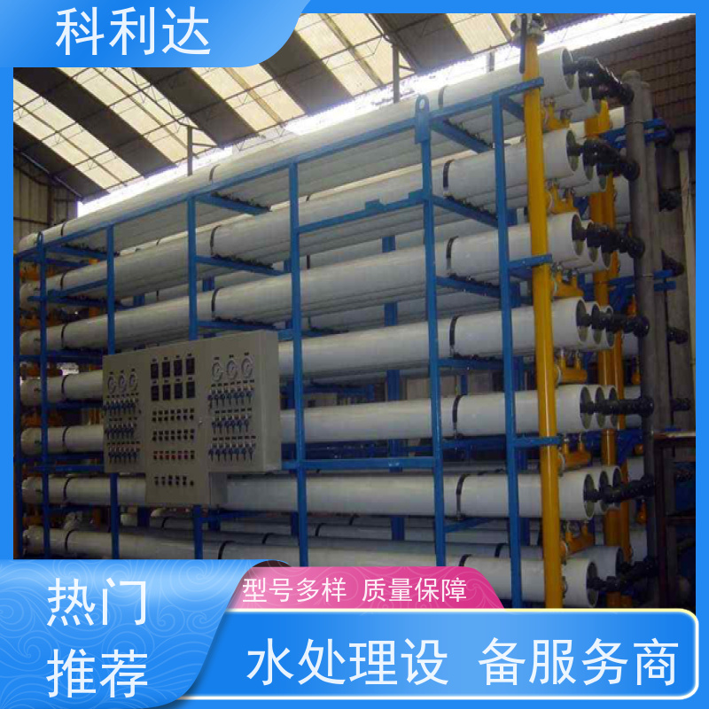 科利达 食品饮料纯水设备 工业水处理过滤器 自动反洗 RO系统