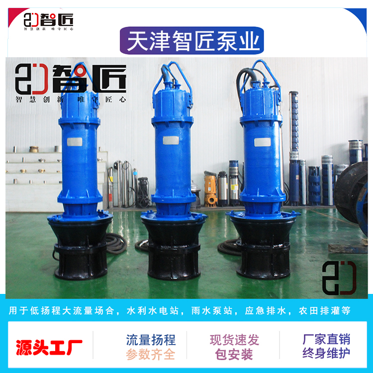 QZB潜水轴流泵 井筒卧式漂浮式 大流量泵站防汛