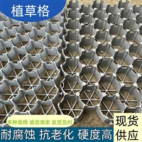 灰色植草格停车场专属 工厂直供园林观景护坡两不误