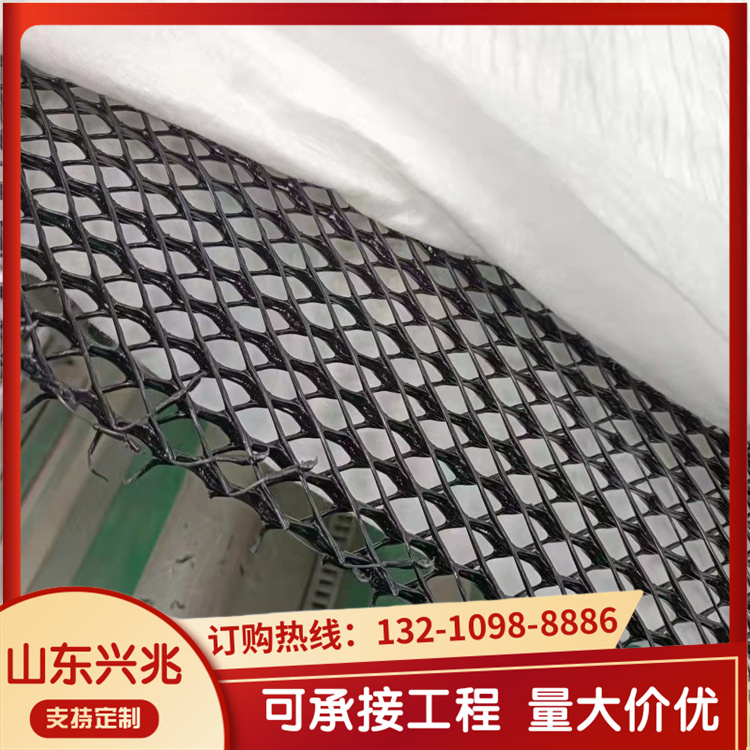 三维复合排水网 路基隧道垃圾填埋场排水土工滤网 规格齐全