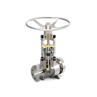 供应TRILLIUM闸阀