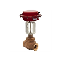 BADGER METER阀门 型号1004GCN36EVOP60P36