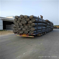 甘肃一布一膜900克(200/0.5/200)水产养殖防渗土工布