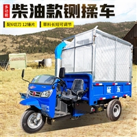 电动小型青草揉草机 养牛用干湿两用粉碎机