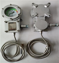 防爆仪表BWTY-203Z经得起第三方检测中心检测