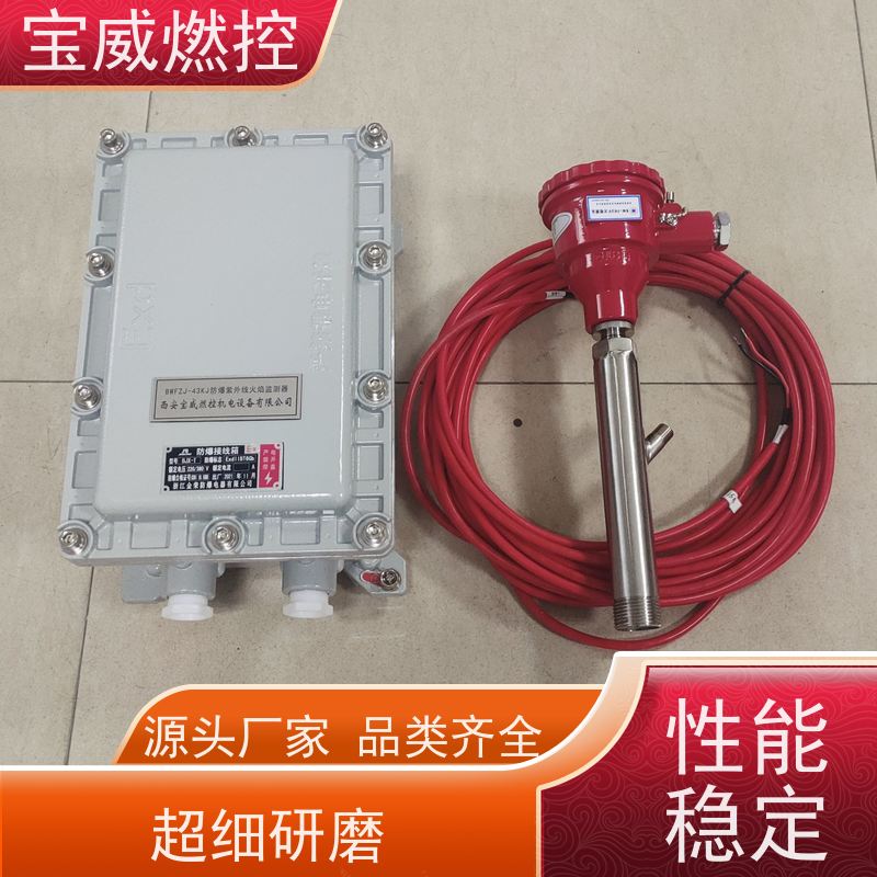宝威燃控 在线火焰检测仪 厂家供货常备库存 开关量信号输出