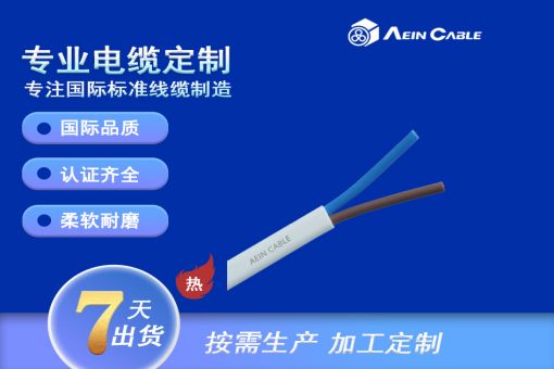 H03VVH2-F  300/300V PVC柔性轻型控制电缆