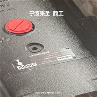 PARKER金杯泵P11P3L1C8C2A00