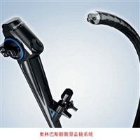 日本OLYMPUS奥林巴斯膀胱肾盂镜系统CV-170+CYF-VH/VHA/VHR/V2/VA2