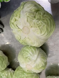 保鲜包装POF包装膜包菜包装防雾膜PP防雾膜 13