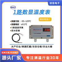 数显温度表CYCW-2A果蔬冷藏仓库化工医药蔬菜大棚 高性价比 厂供