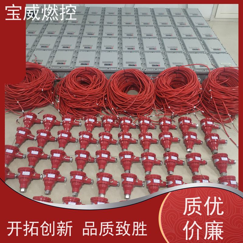 宝威燃控 高灵敏度防爆型 可非标加工 天然气隧道窑火焰探测器