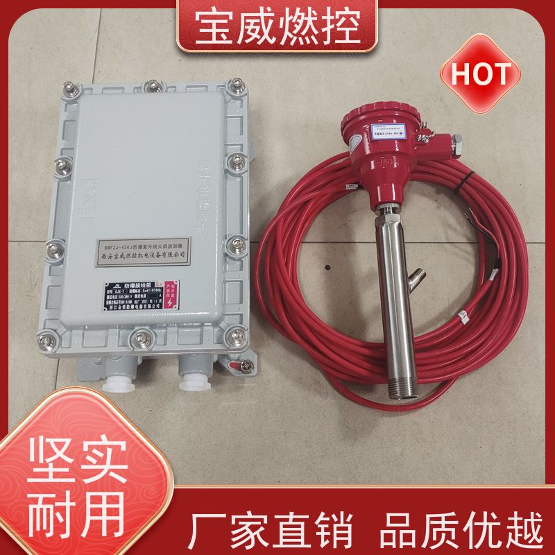 宝威燃控 防爆分体式 可非标加工 2868光敏管 锅炉火焰检测器