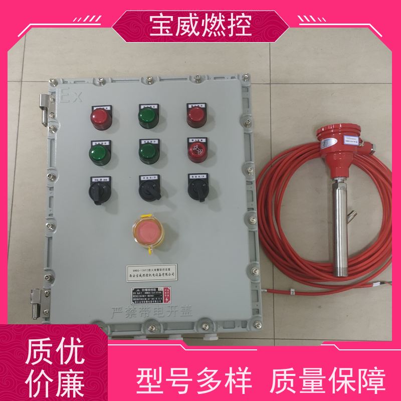 宝威燃控 在线火焰检测仪 可非标加工 熄火延时1-3S