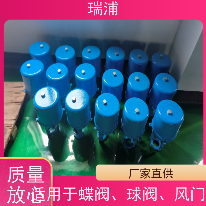 瑞浦381LSB-30直行程电子式381LSC-65电动381LSC-65