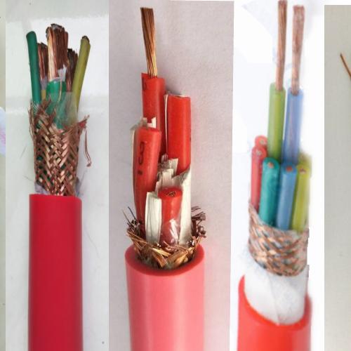 高温计算机电缆ZRC-DJFPF46RP2-安徽天明电缆有限公司