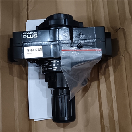 NORGREN海隆除油蒸汽过滤器R84G-4GT-RSN