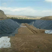 牛蛙养殖池 3.0mm高密度聚乙烯膜上海1.5mmHDPE土工膜