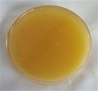 南京鼠李糖脂支持定制 适用于油田开采、化妆品乳化、农业抑菌