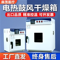 电热恒温鼓风干燥箱烘干箱实验室16L镀锌
