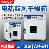 电热恒温鼓风干燥箱实验室烘干箱烤箱43L镀锌