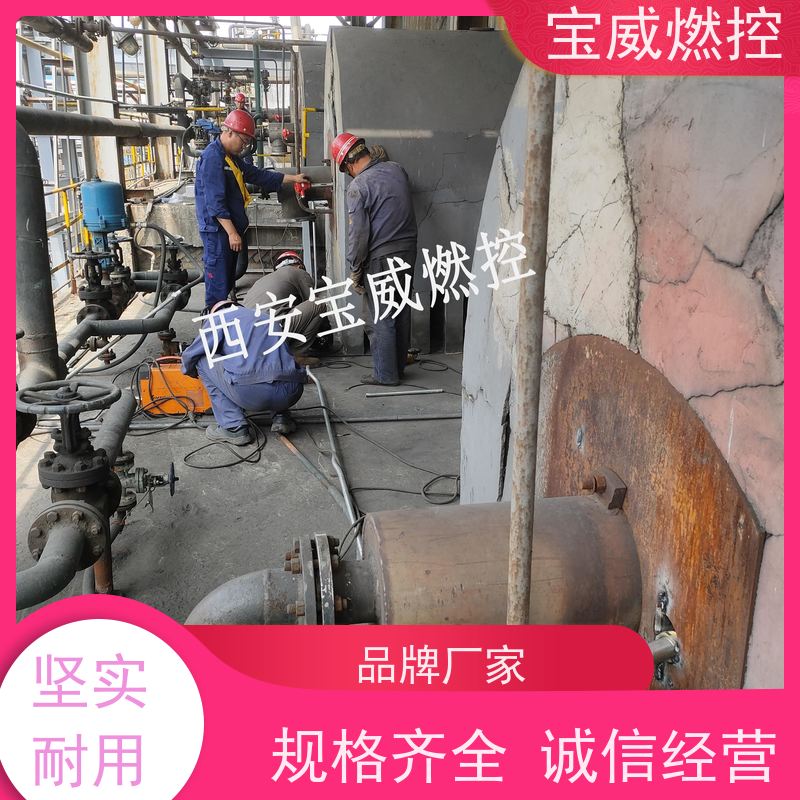 宝威燃控 工业火焰检测设备 2868光敏管 厂家供货常备库存 防爆分体式