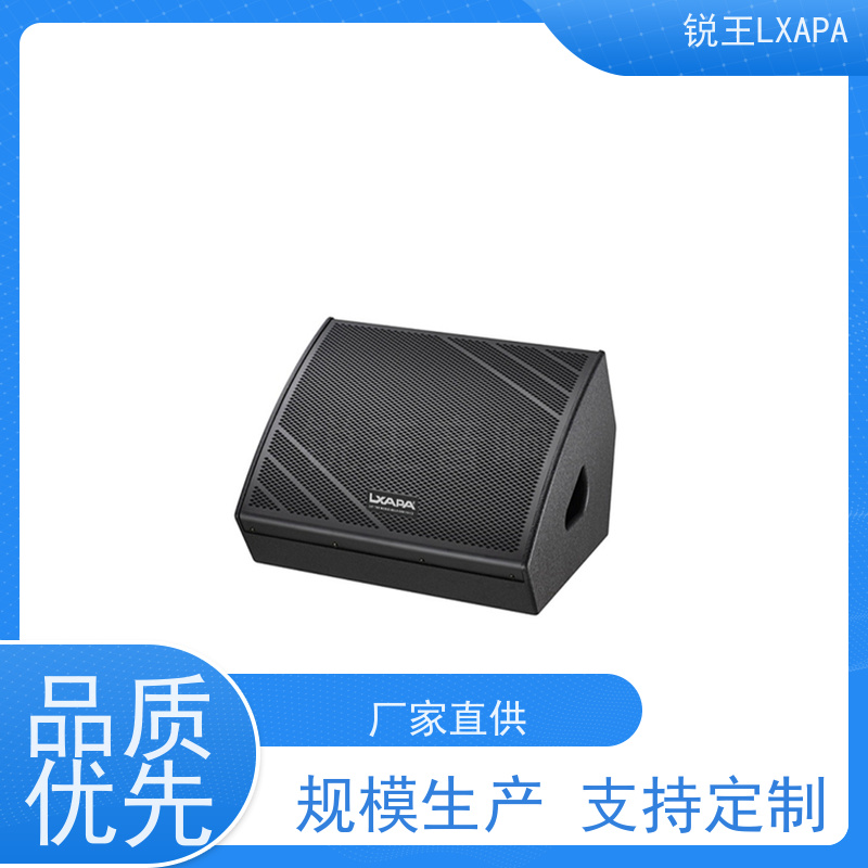 锐王LXAPA 壁挂音箱 会议音响设备 舞台演出 降噪出色
