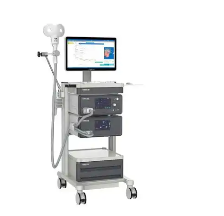 脉冲磁场刺激仪SD-CL