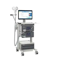 脉冲磁场刺激仪SD-CL