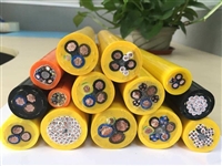 ZR-YVFRP-1*300耐寒屏蔽软电缆-安徽天明电缆有限公司