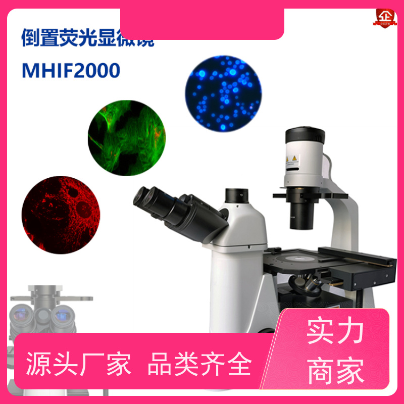 明慧 看荧光的显微镜 国产 满足不同实验场景需求 上海