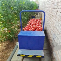 温室大棚轨道运输车