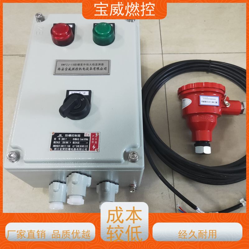 宝威燃控 2868光敏管 可非标加工 工业炉膛火焰监测器