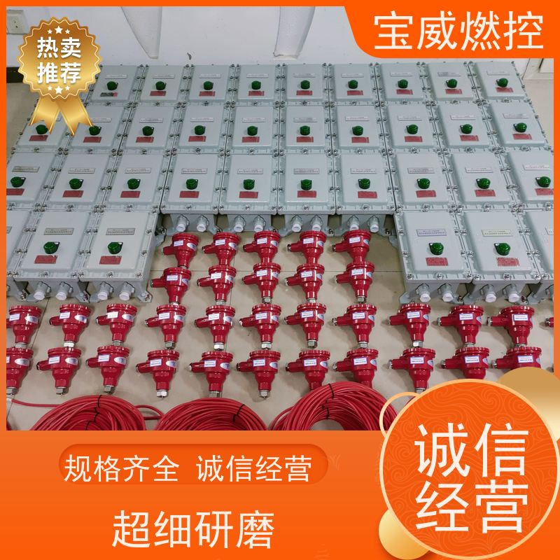 宝威燃控 灵敏度可调 厂家供货常备库存 远距离防爆 紫外线火焰监测器
