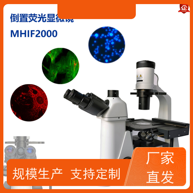 明慧 国产 满足不同实验场景需求 海南 荧光倒置生物显微镜