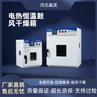 电热恒温鼓风干燥箱烘干箱实验室16L304不锈钢